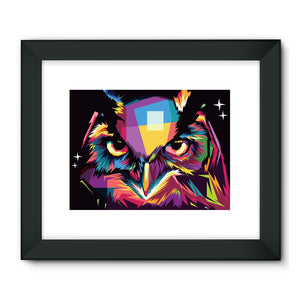 The Cool Wise Owl Collection Framed Fine Art Print