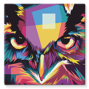 The Cool Wise Owl Collection Stretched Canvas